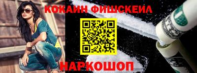 индика Рузаевка