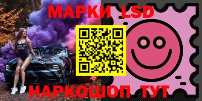индика Рузаевка