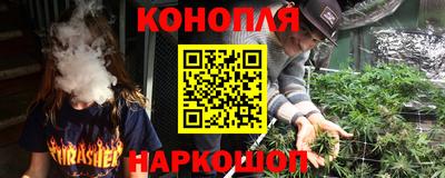 индика Рузаевка