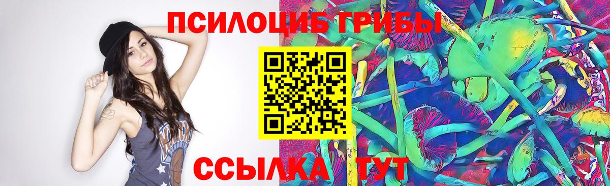 Галлюциногенные грибы ЛСД  Вход с VPN  Россошь  Галлюциногенные грибы Magic Shrooms 