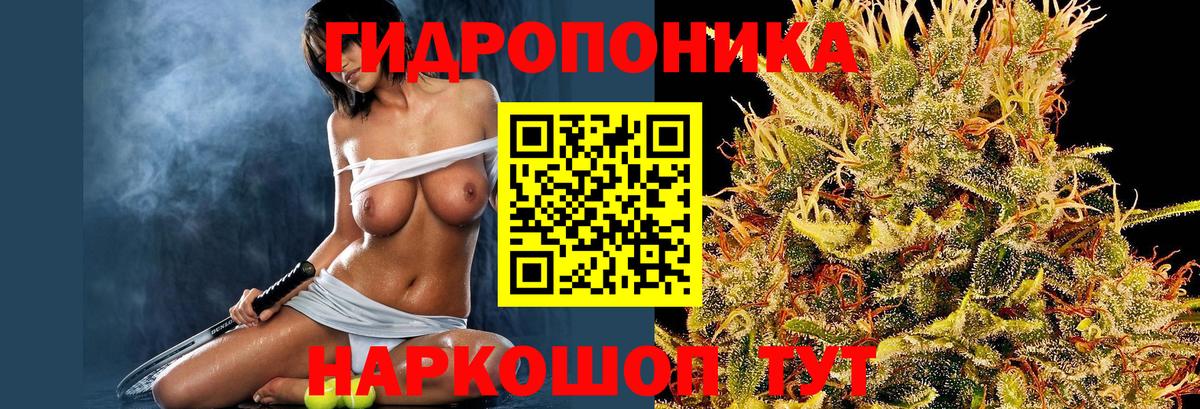 Марихуана Bruce Banner  Вход с VPN  Россошь  Бошки Шишки планчик  Конопля тримм 